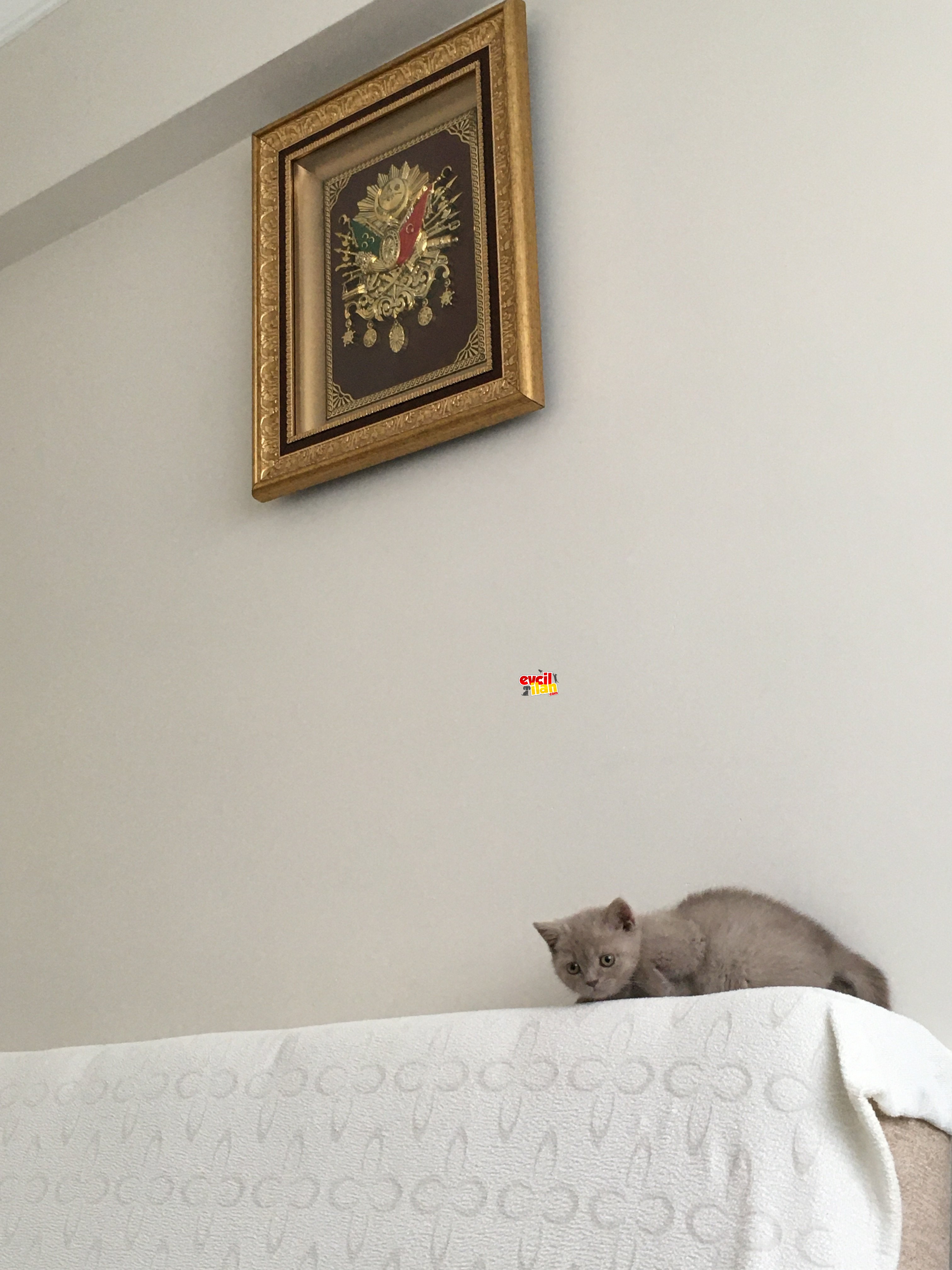 2 aylık kızımıza yuva arıyoruz