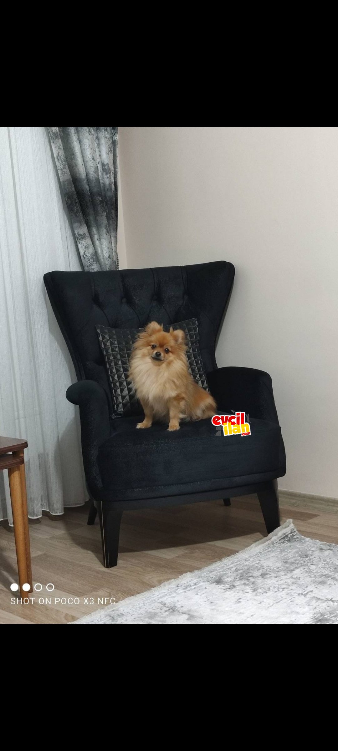 2 yaşında kızımız 
