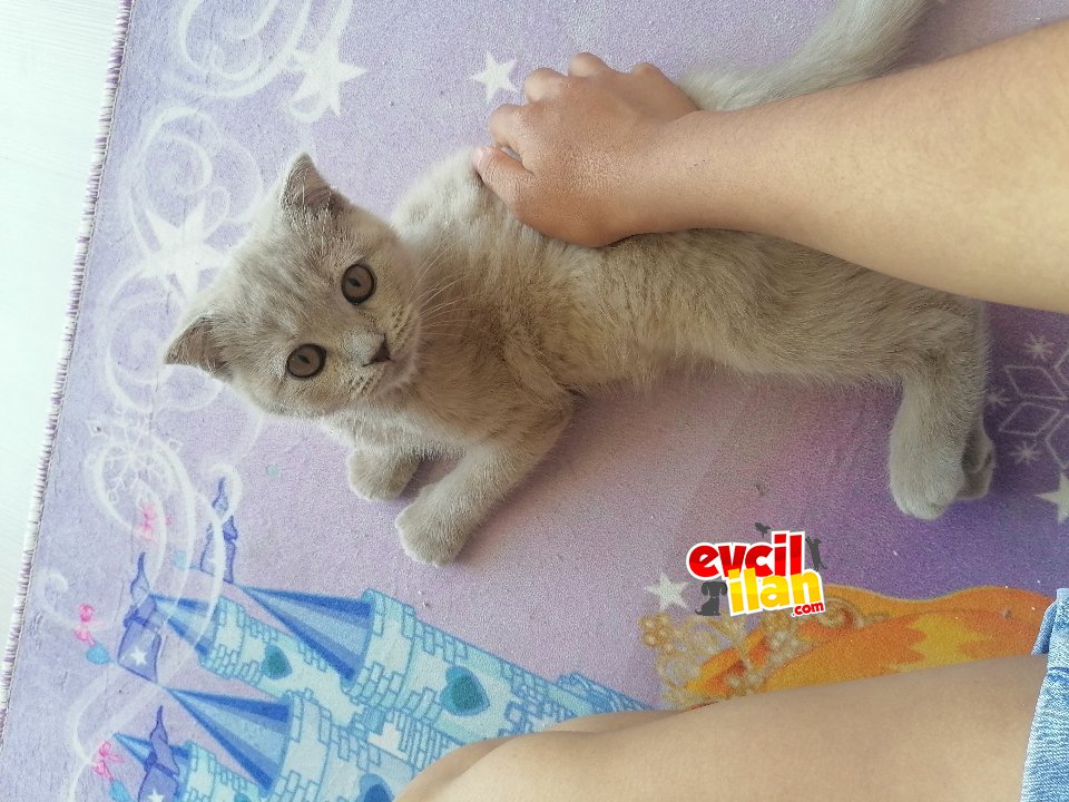 3 aylık evimizin bebeği