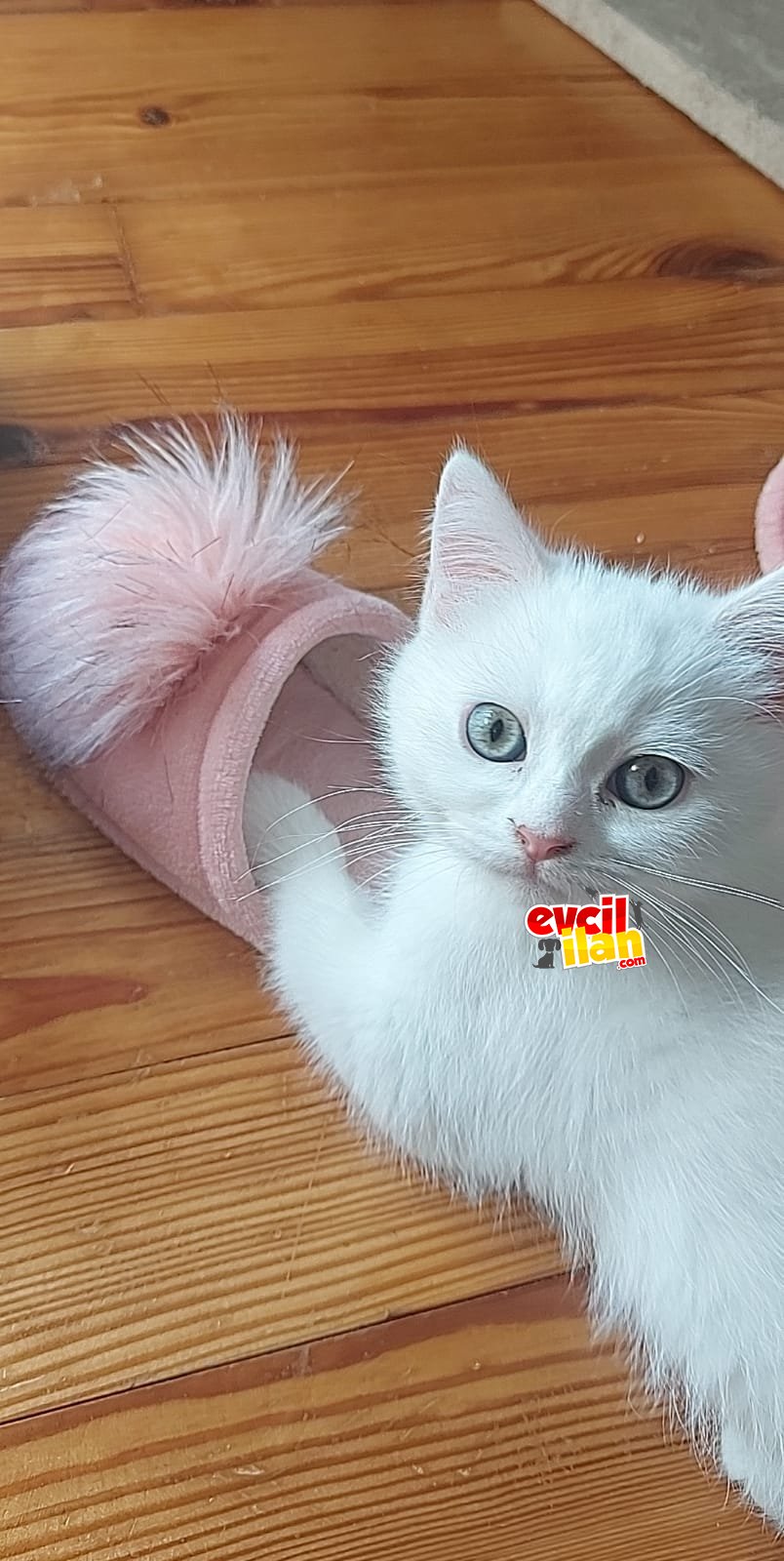 30 Mart Doğumlu Erkek Ve Dişi