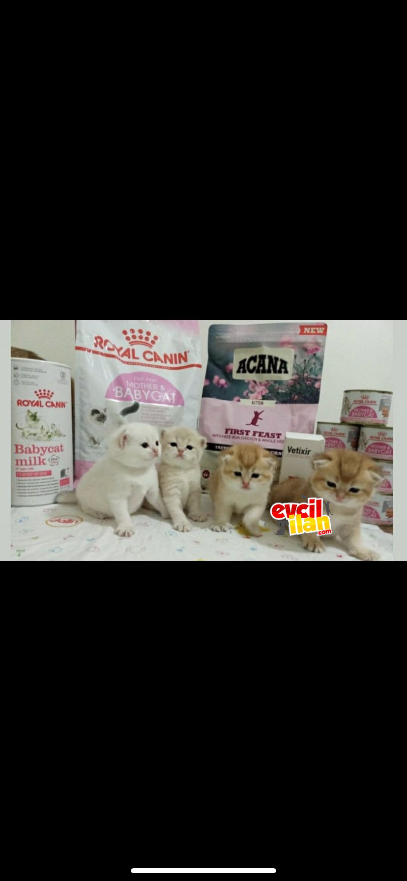 A kalite full şcr 