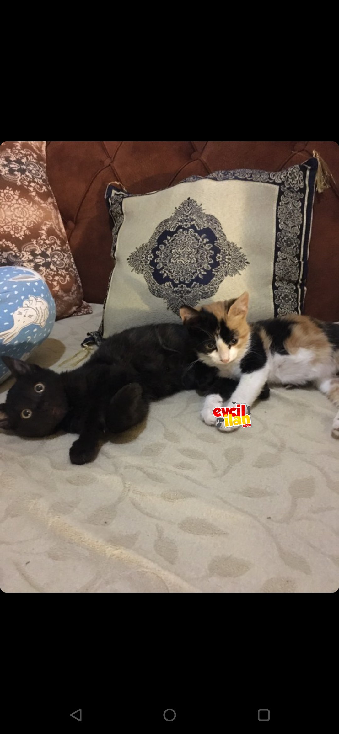 Acil geçici evinde 