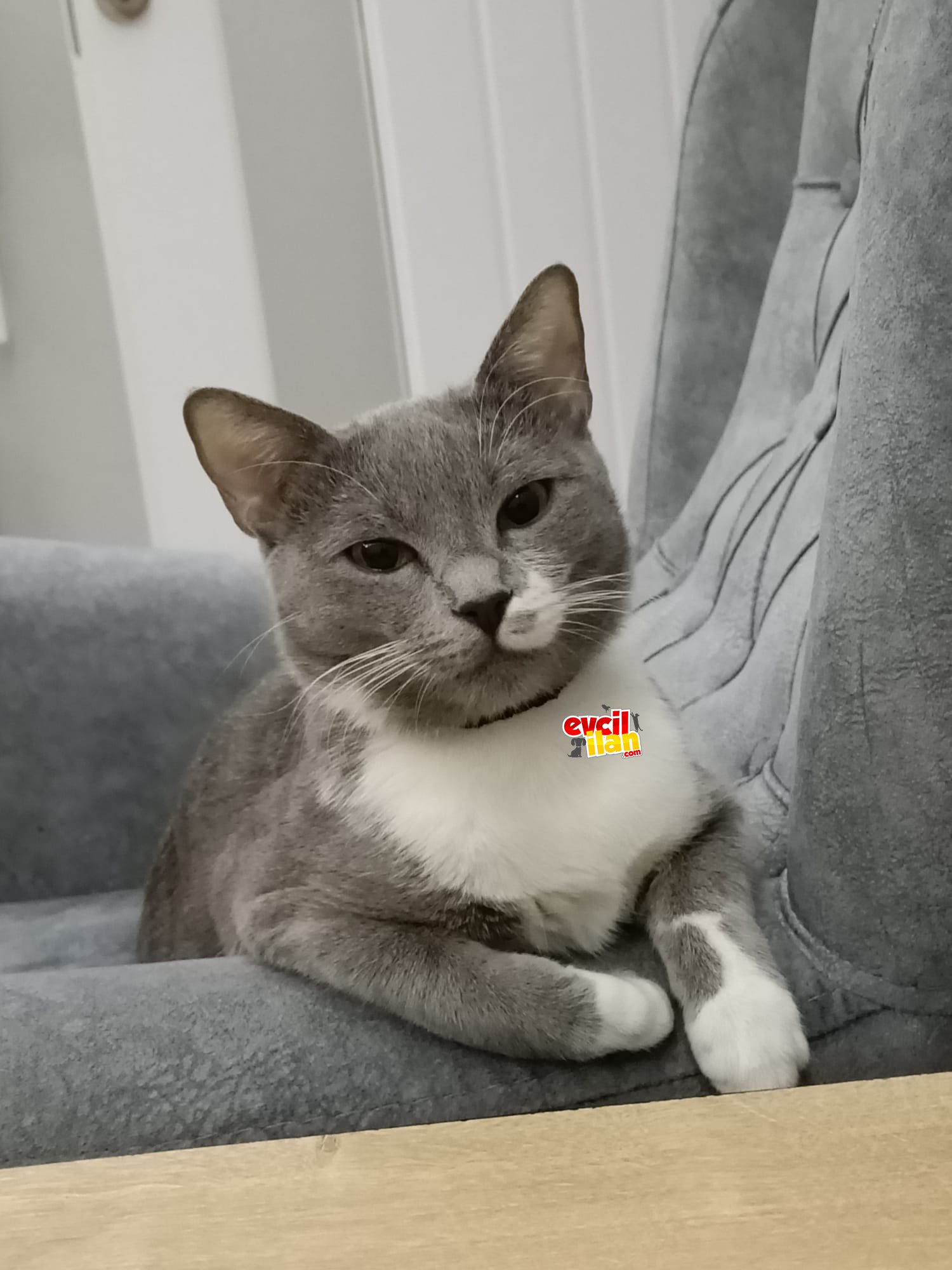 Acil yuva arıyoruz kızıma