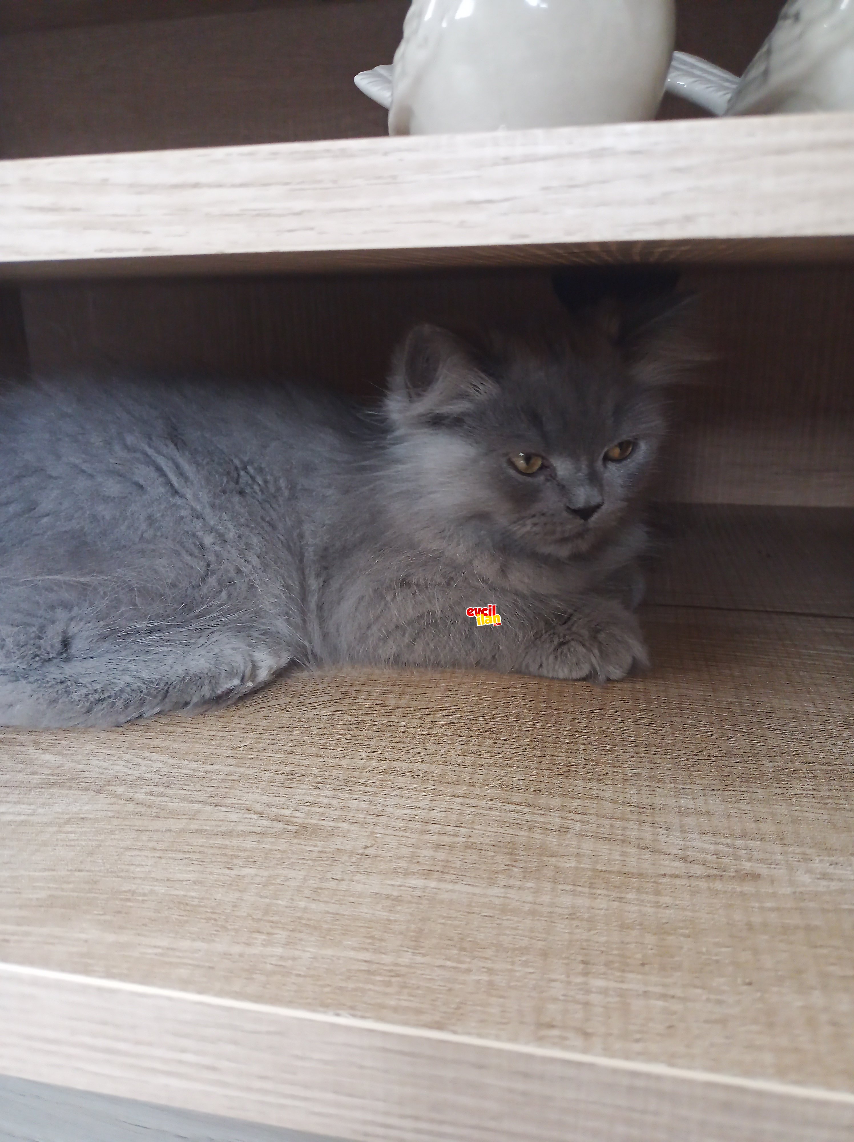 Ares