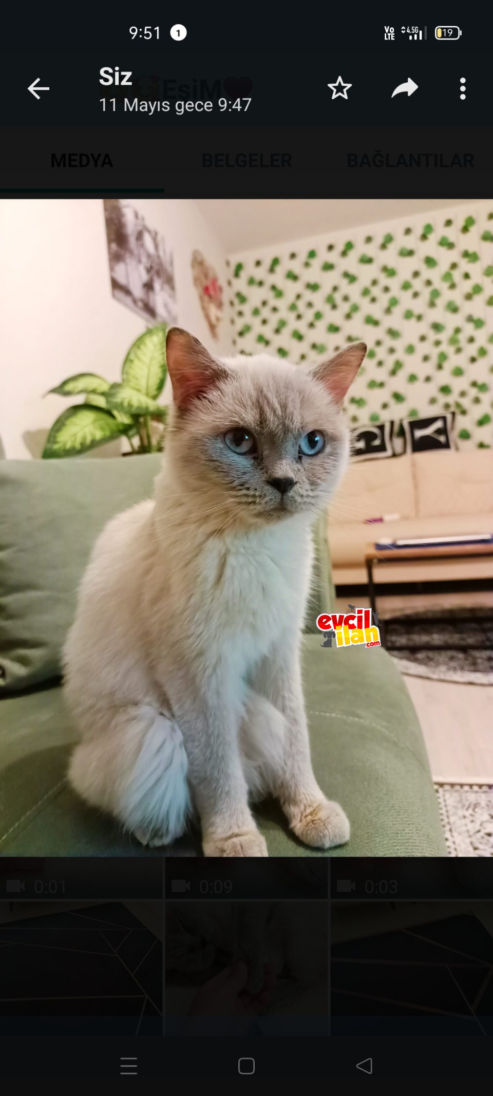 Biritiş