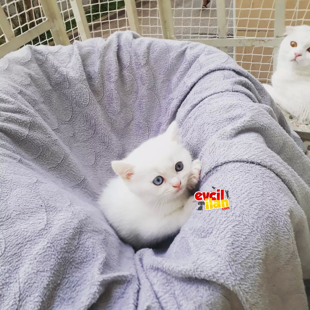 Çekirdek Aileye yeni bir üye
