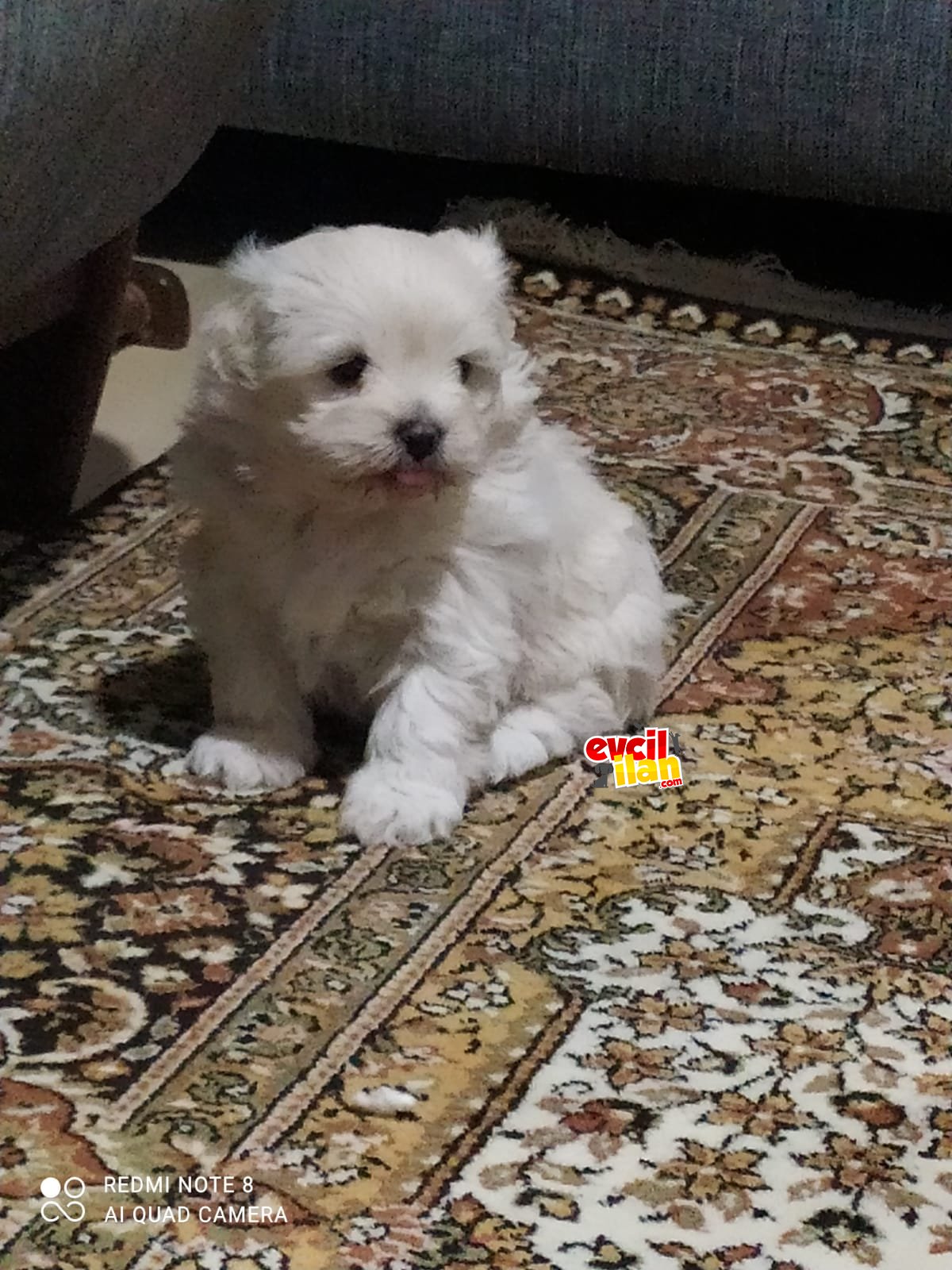 Çukurova