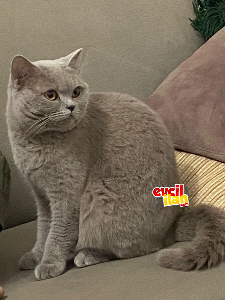 Maya türünün en akıllısı ❤️