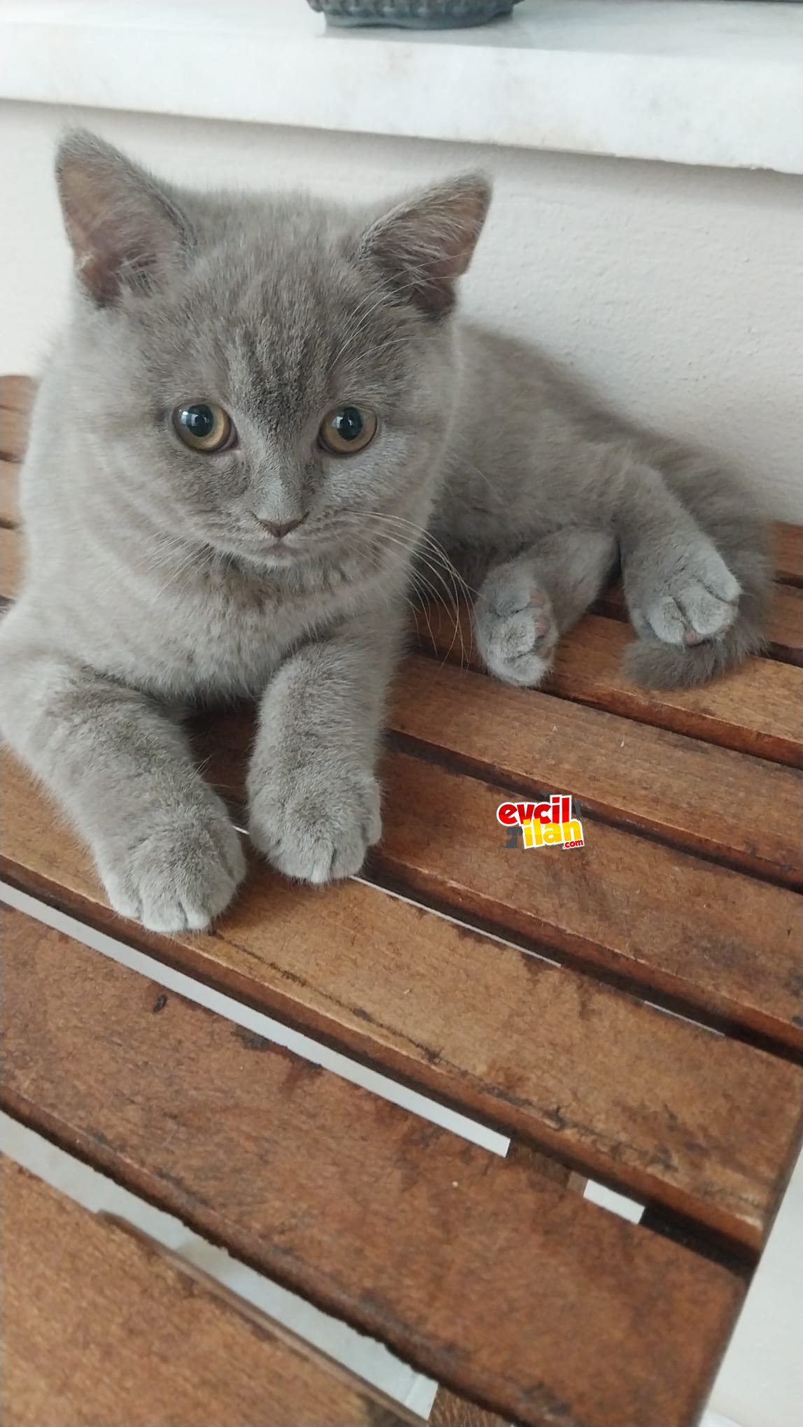 EGITIMI VERILMIS KDIMIZ