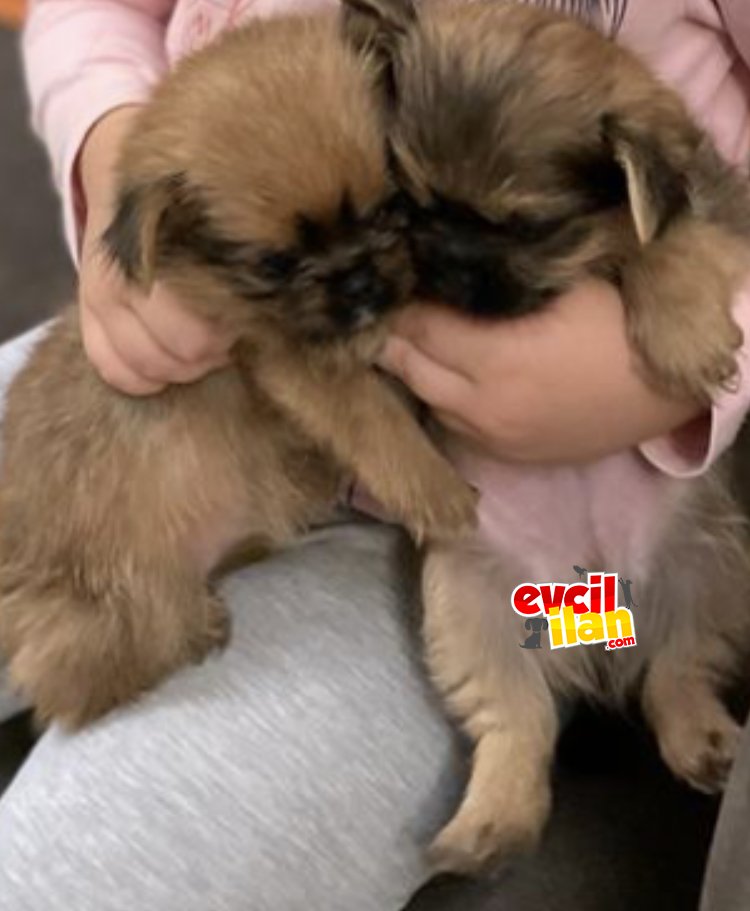 ENNNNN ÖZELİNDEN...