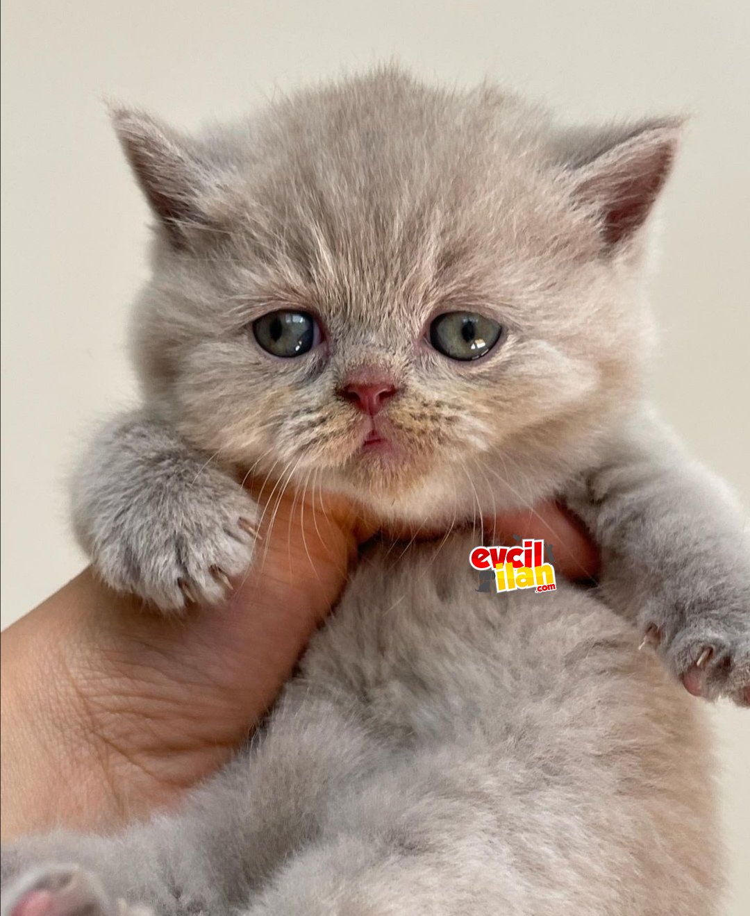 EVDE BÜYÜYEN MİNİKLERİM ❤️