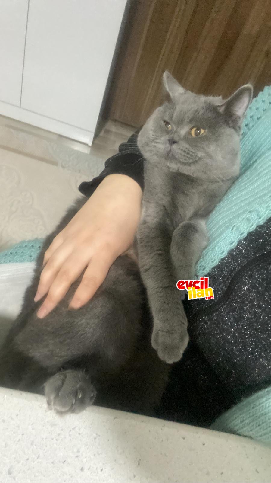 Gelin adaylarını bekliyoruz ????????
