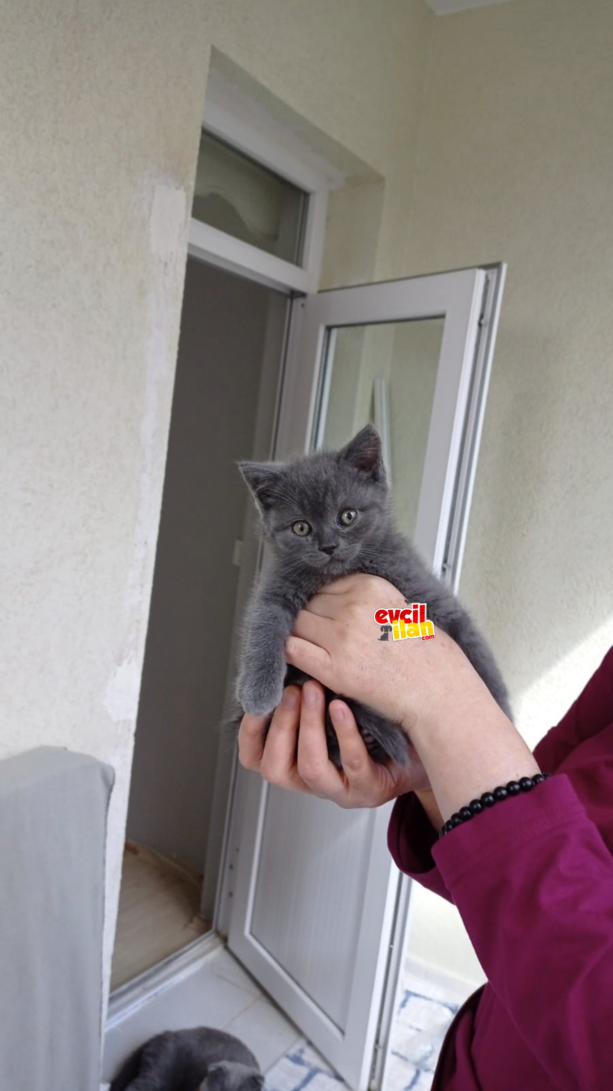 Güzel bir aile arıyoruz 