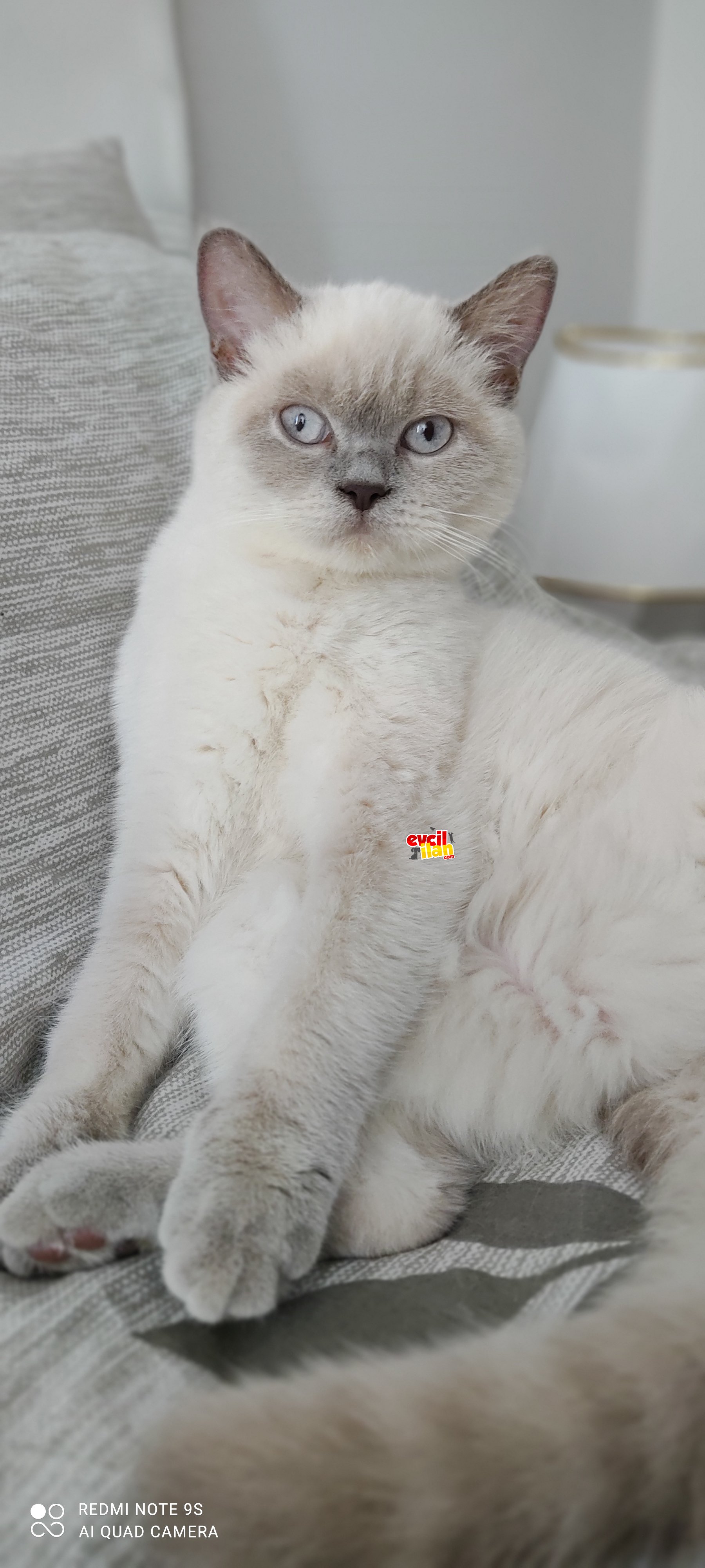 Güzel bır kız 
