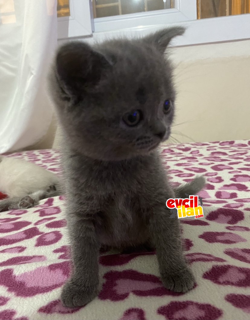 Güzeller güzeli bebeğim 