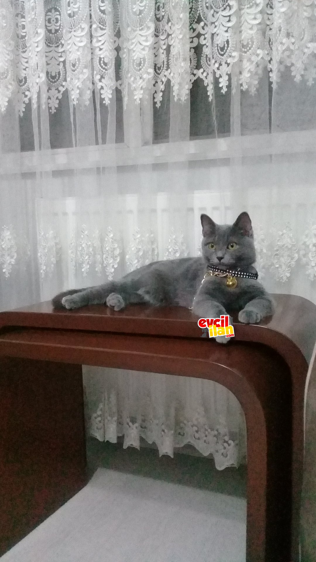 Her ewe lazim