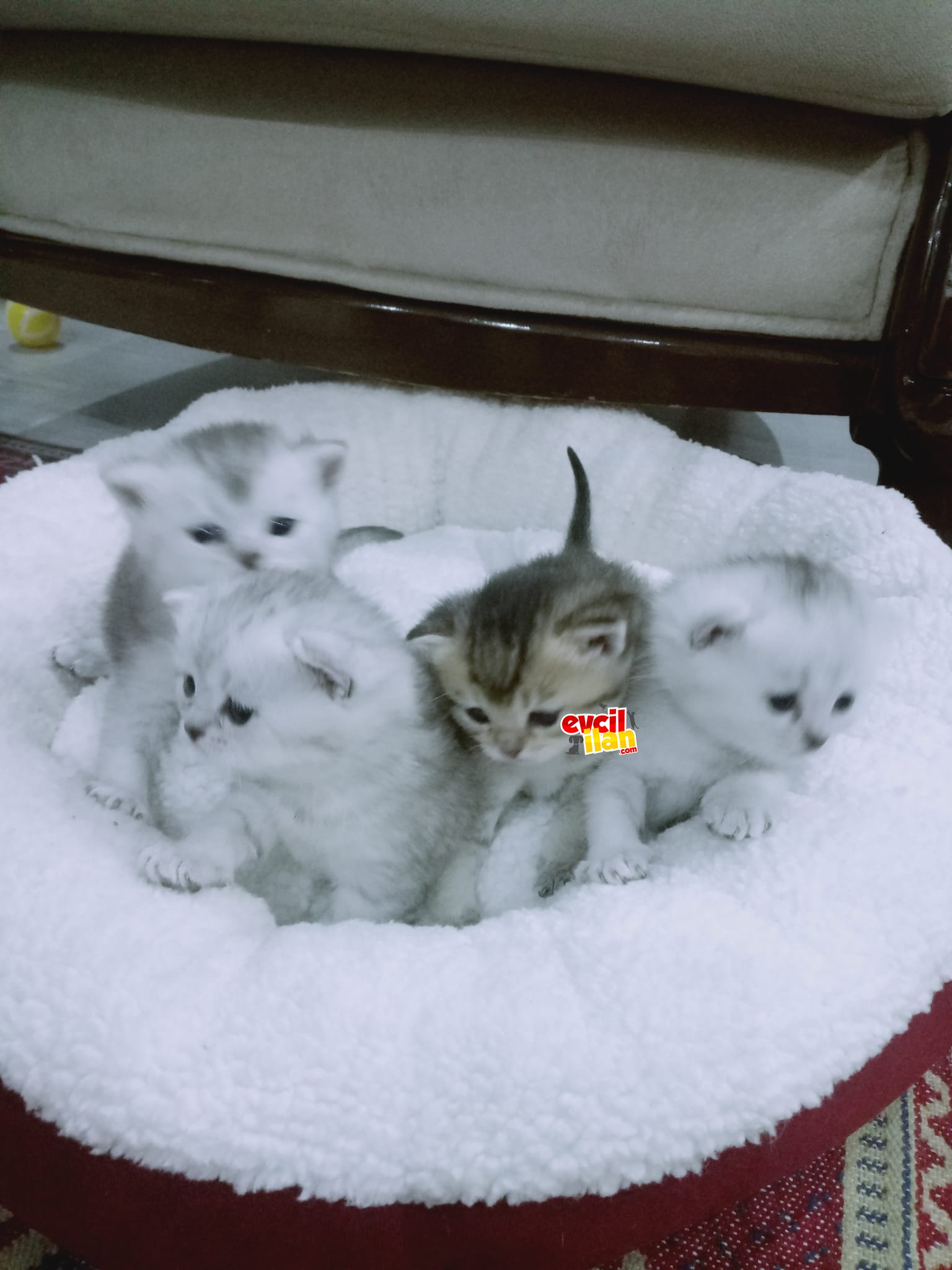 İstanbulu en tatlı minnaklari