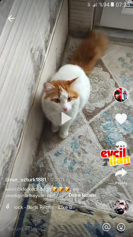 Lütfen bulmama yardım edin