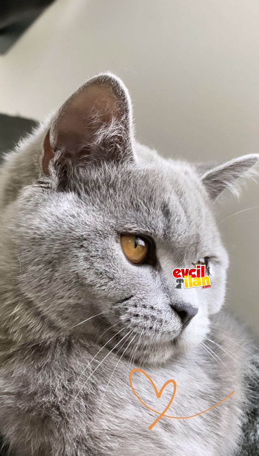 Mia kızım