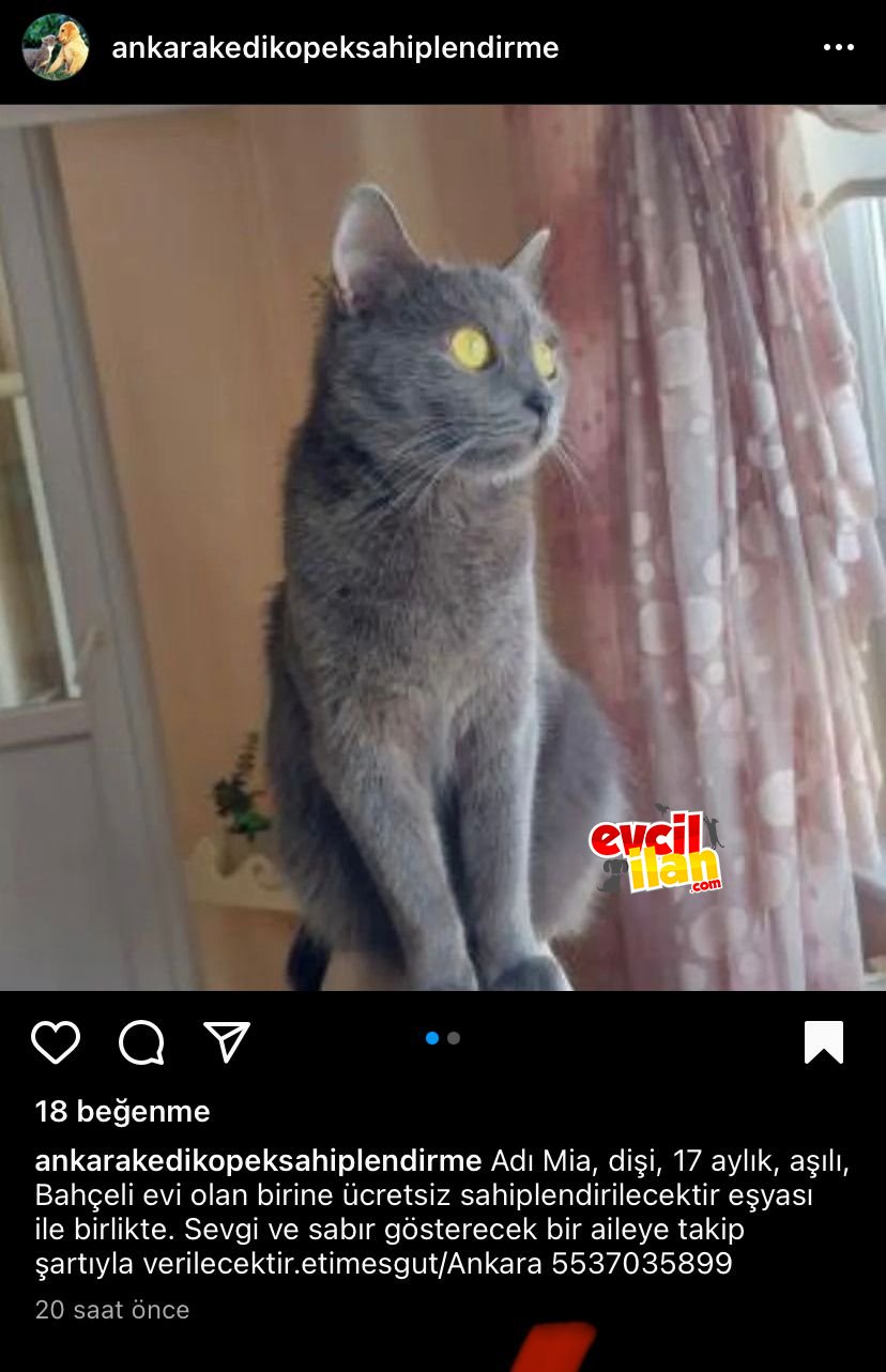 Mia