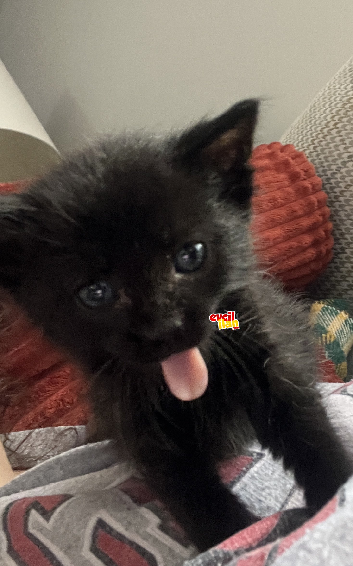 Minik bebeğe yuva <3