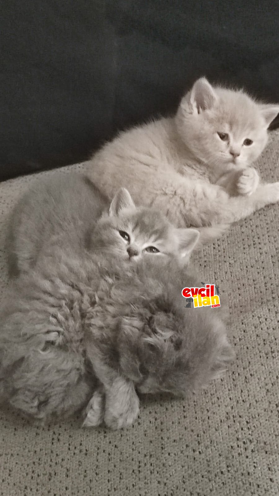 Minik Yavrularımızın Yeni Yuvası