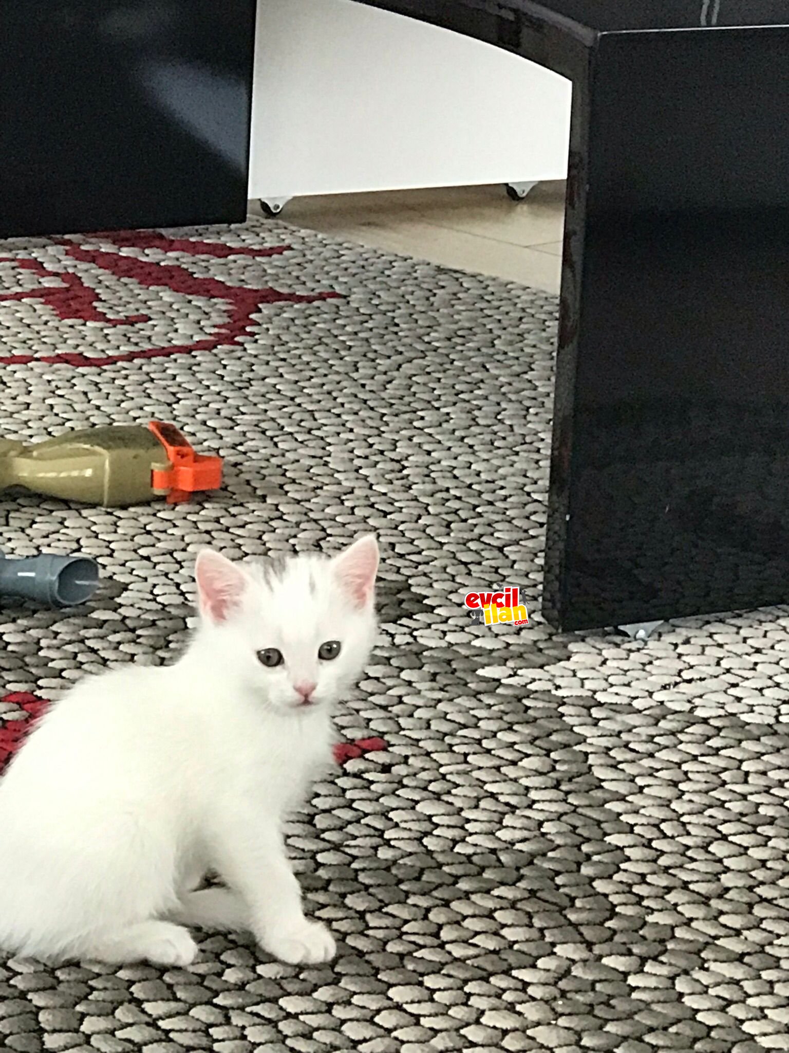 Muhteşem oyuncu oğluşumuz pozitif enerji verecek 