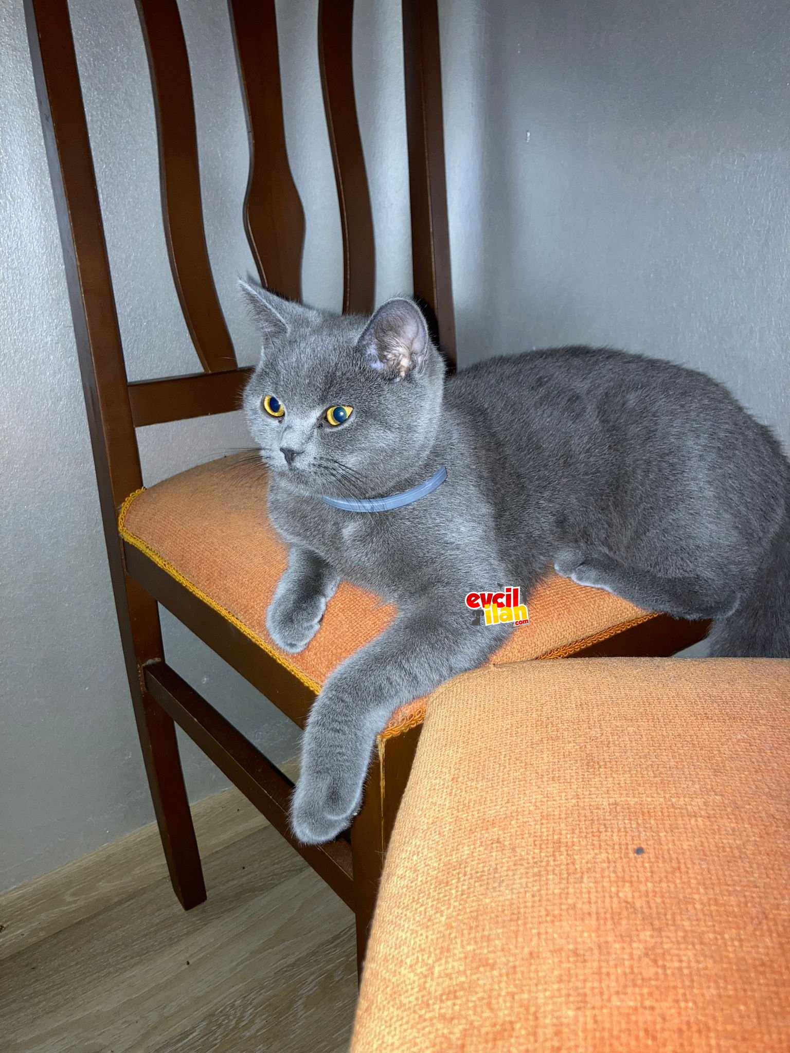 OĞLUMA YENI YUVA♡