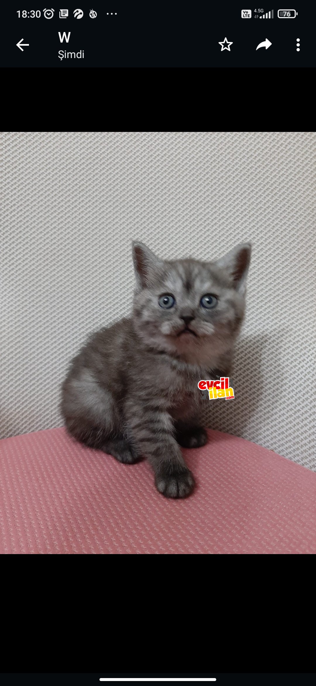 Oğlumuza yuva arıyoruz