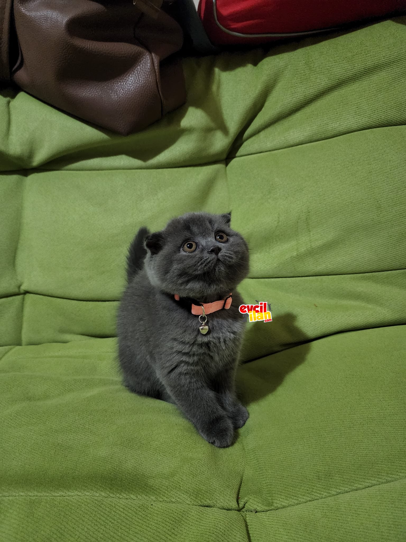 Oyuncu Dişi Bebek