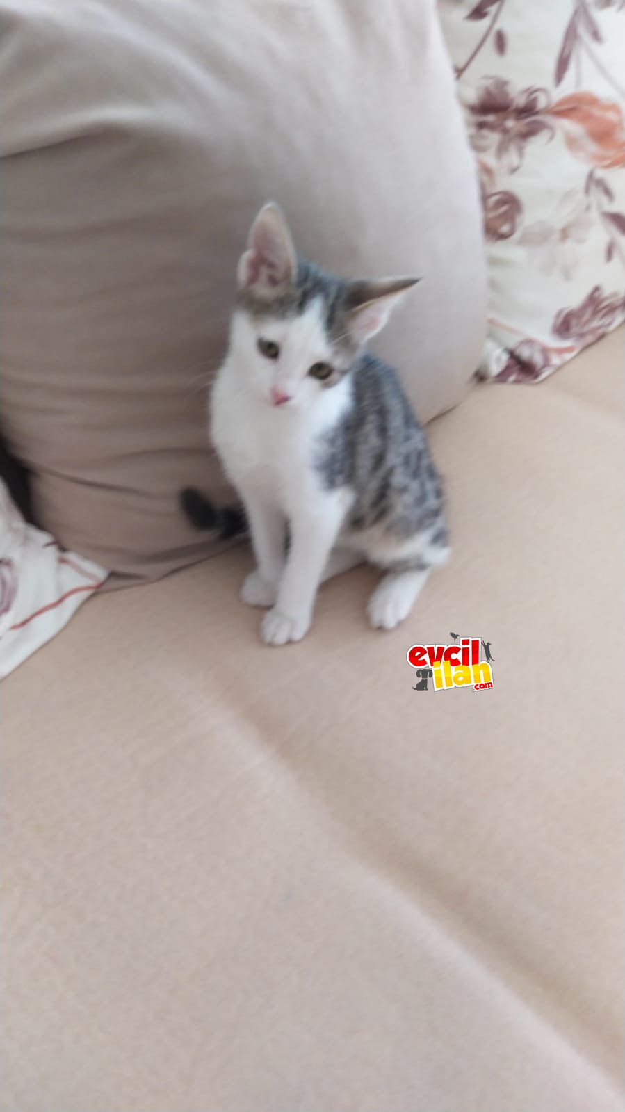  oyuncu Duman