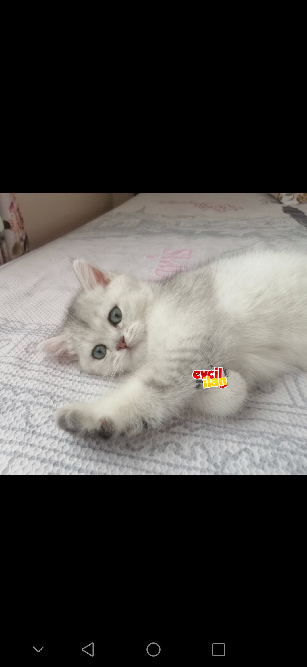 Oyuncu ve yakışıklı oğlumuz