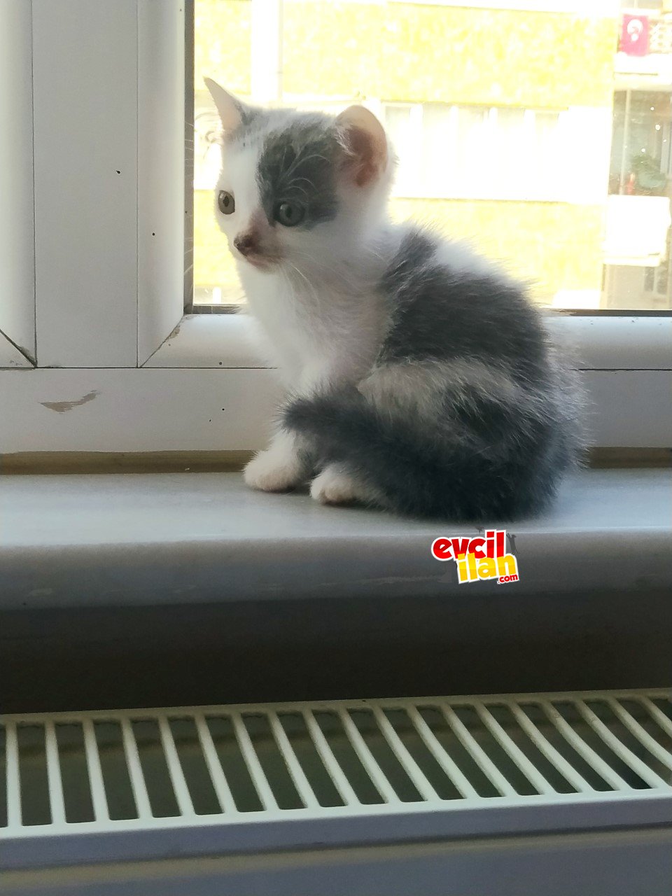 özel istegimiz var 