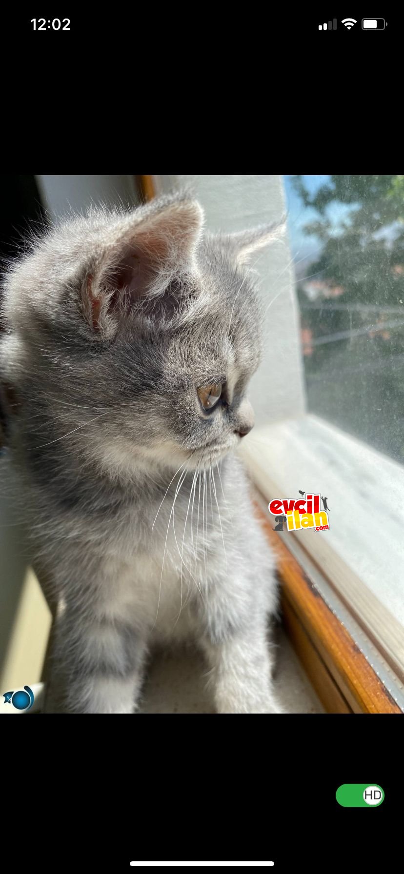 Prensimizi sahiplendirme istiyoruz 