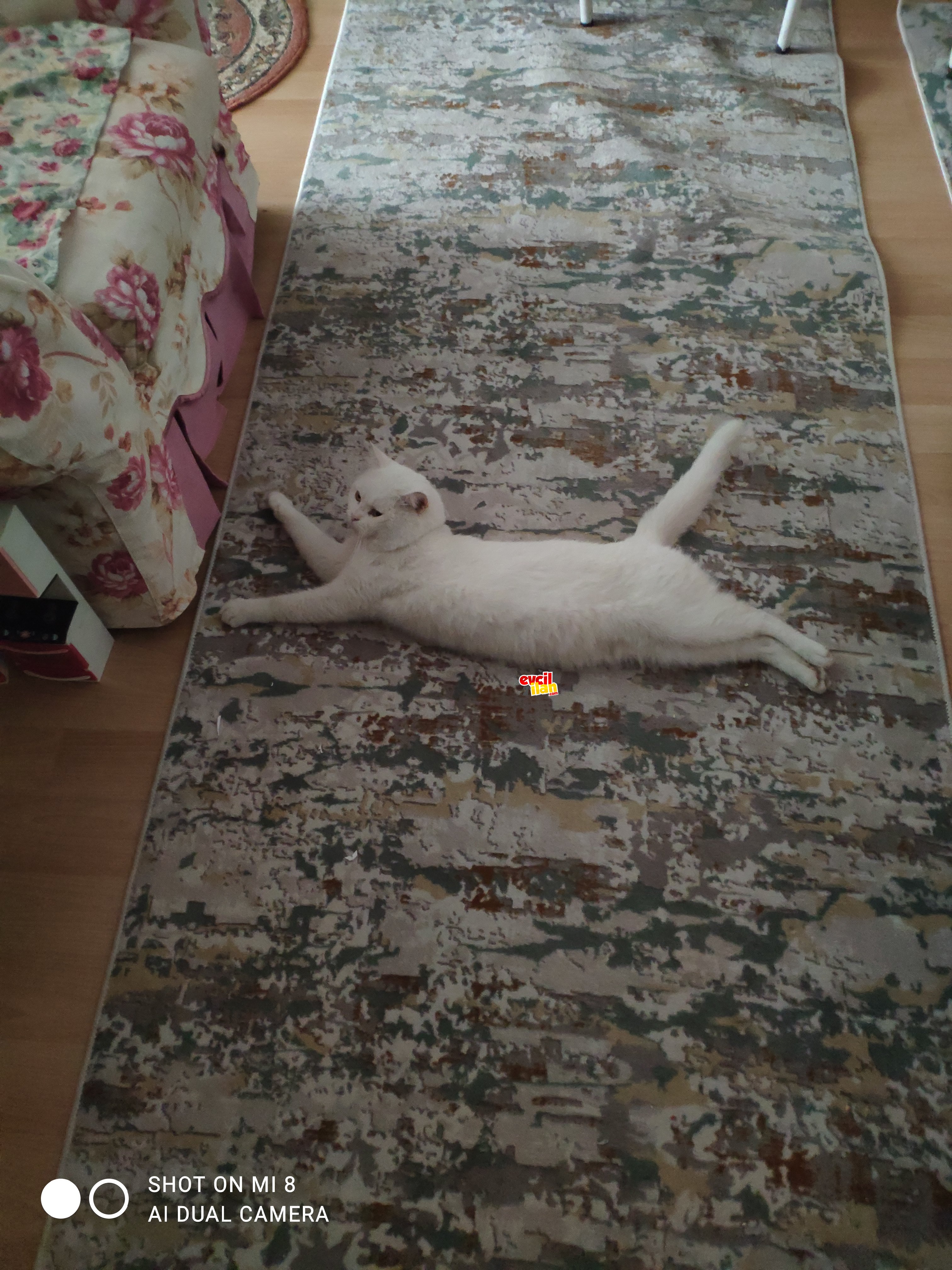 RİF e yeni bir aile