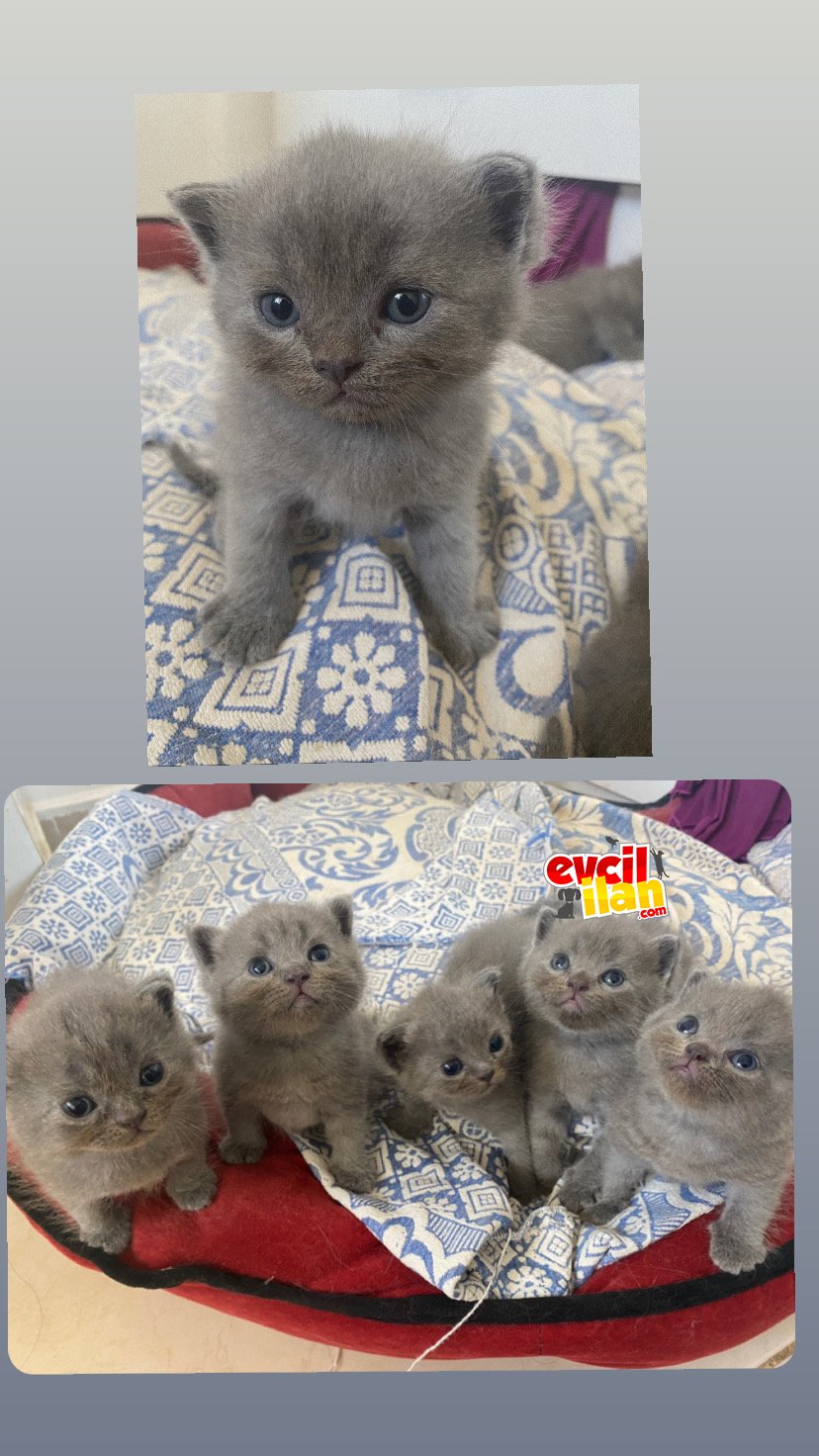 Sağlıklı, mutlu bebeklerim ❤️