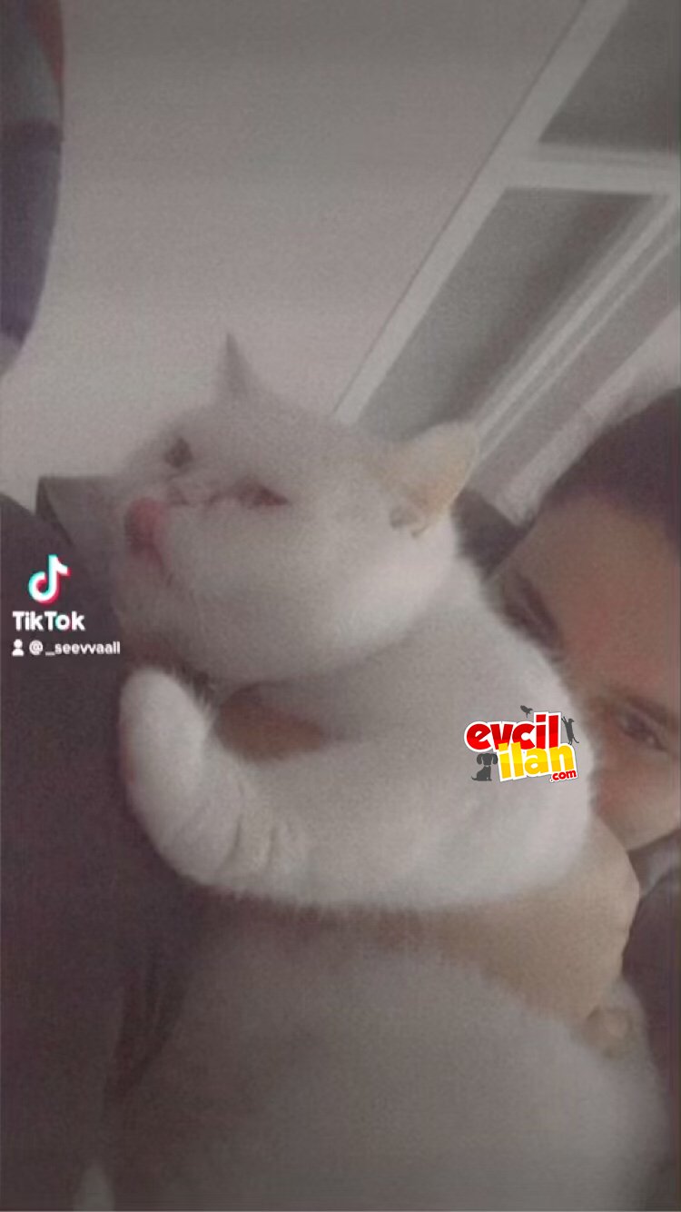 Sakin ve bulut gibi bir kız❤️