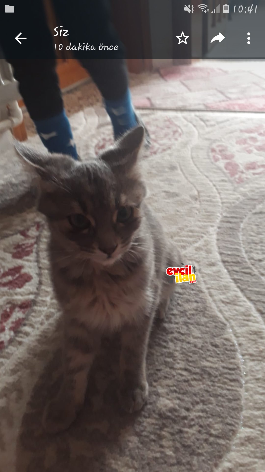 Sicak bir yuva