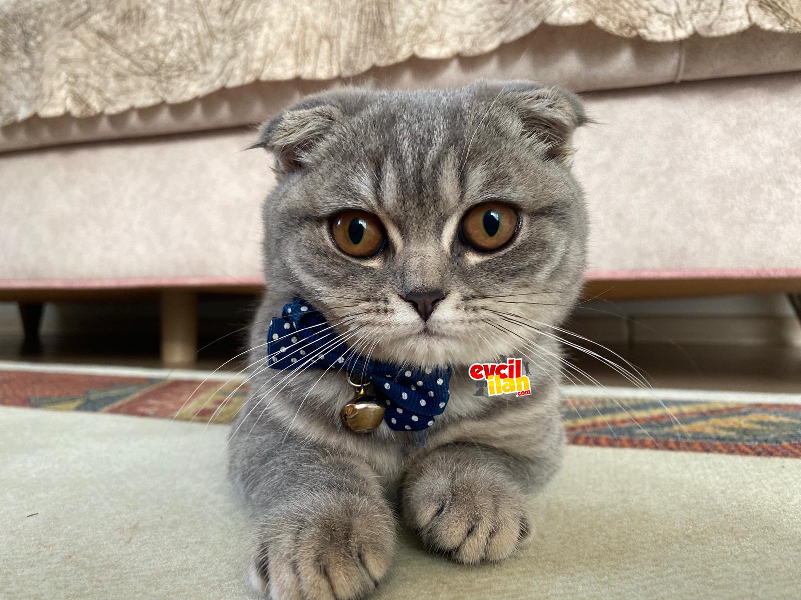 Tatlı güzel kız 