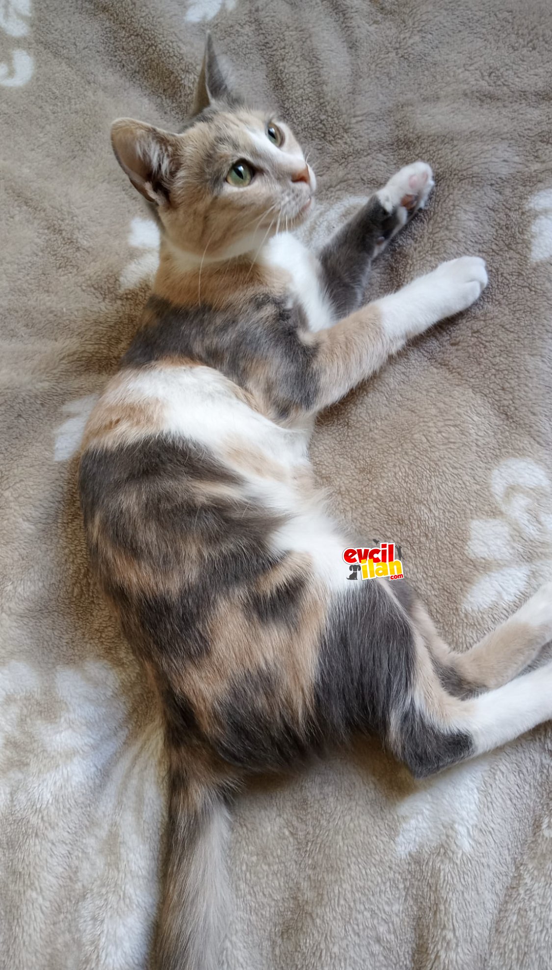 Tatlı Kızımıza Ömür Boyu Aile