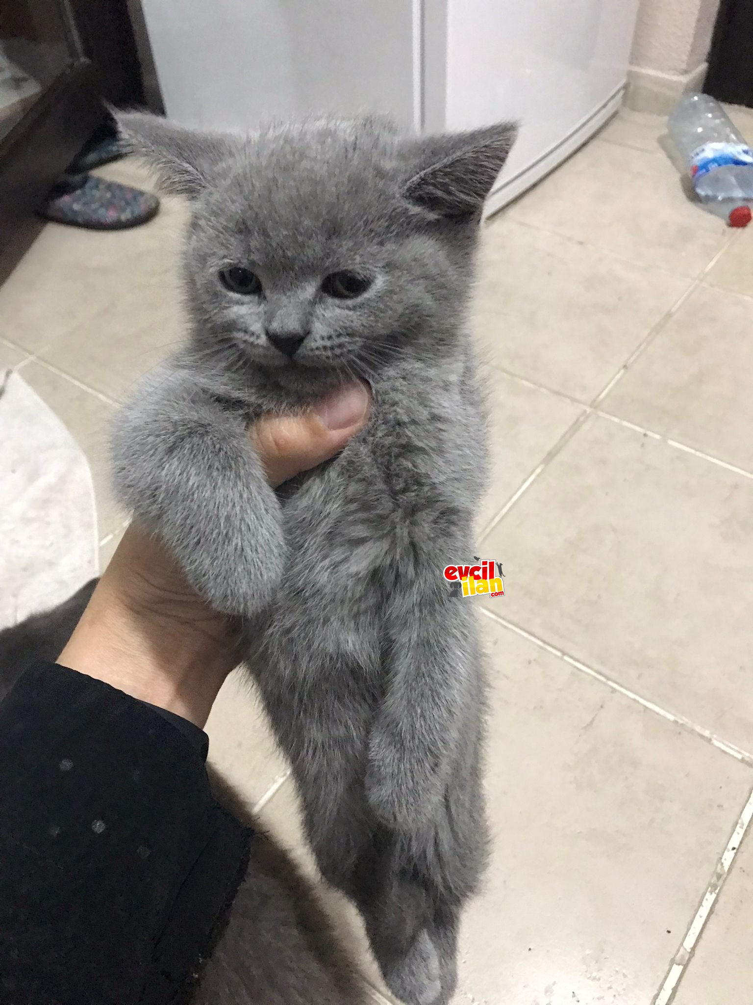 Telefonda detaylı bilgi verilir 