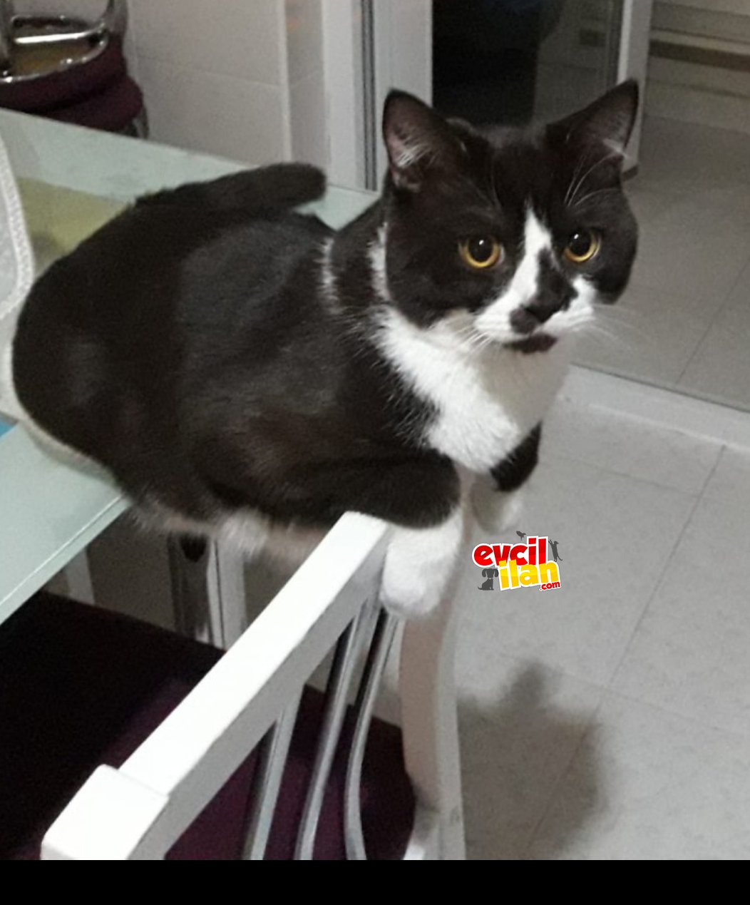 Toprağımız yeni yuvasını bekliyo
