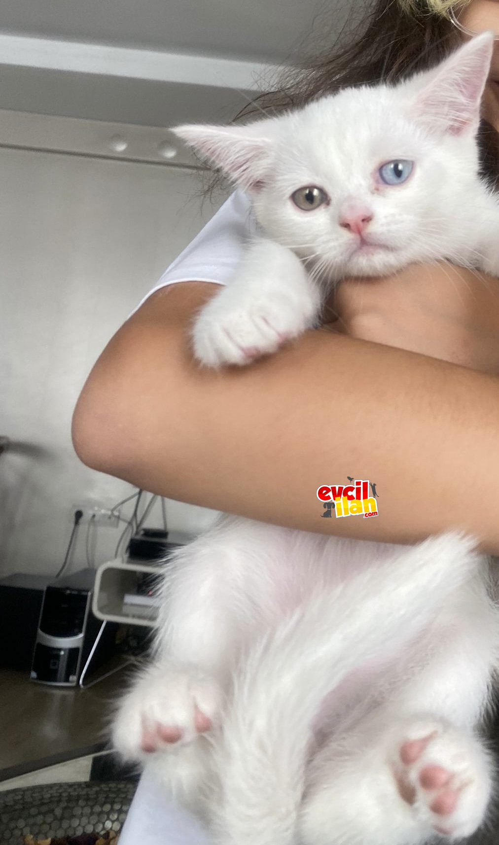 Torunlarım❤️