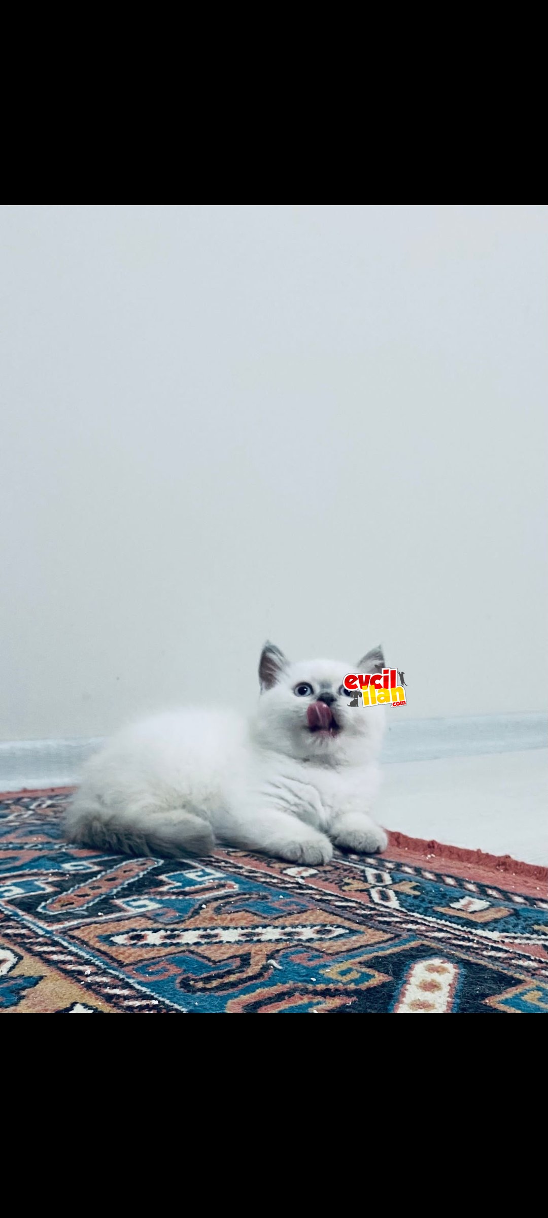 UYGUN