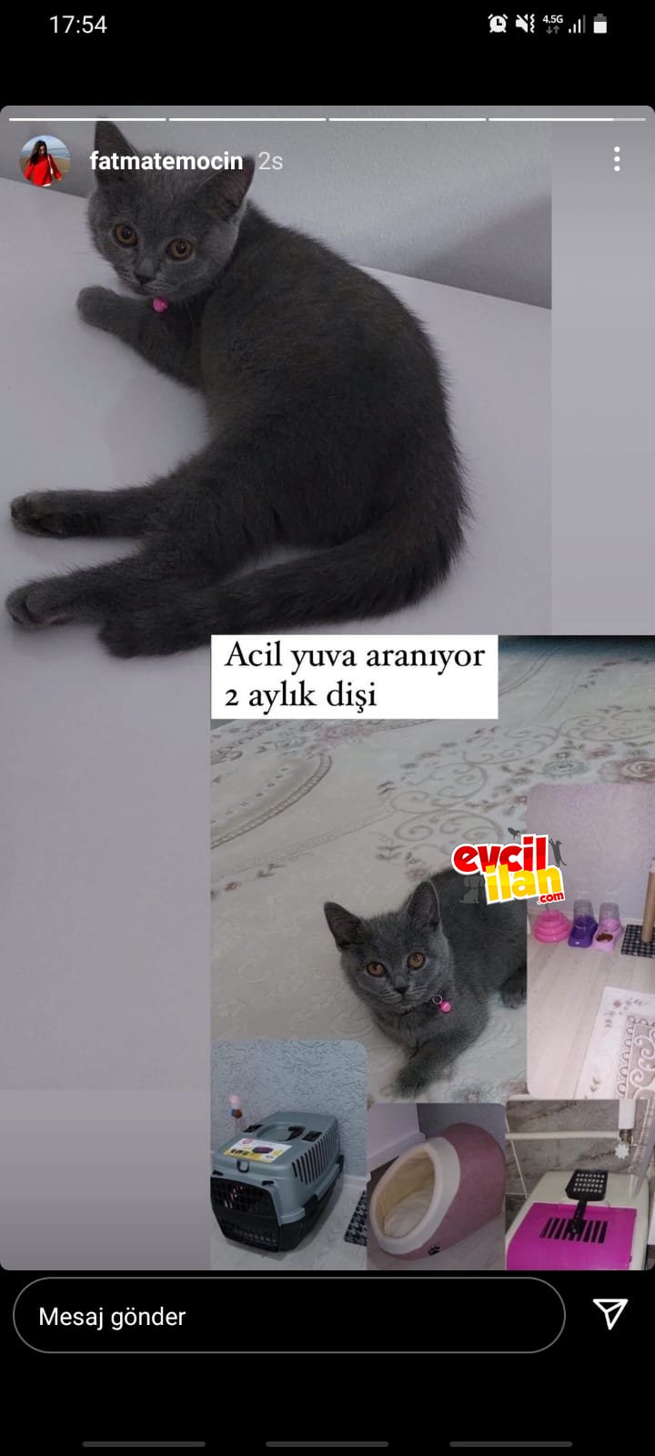 YAVRU SEVIMLI BIR UFAKLIK