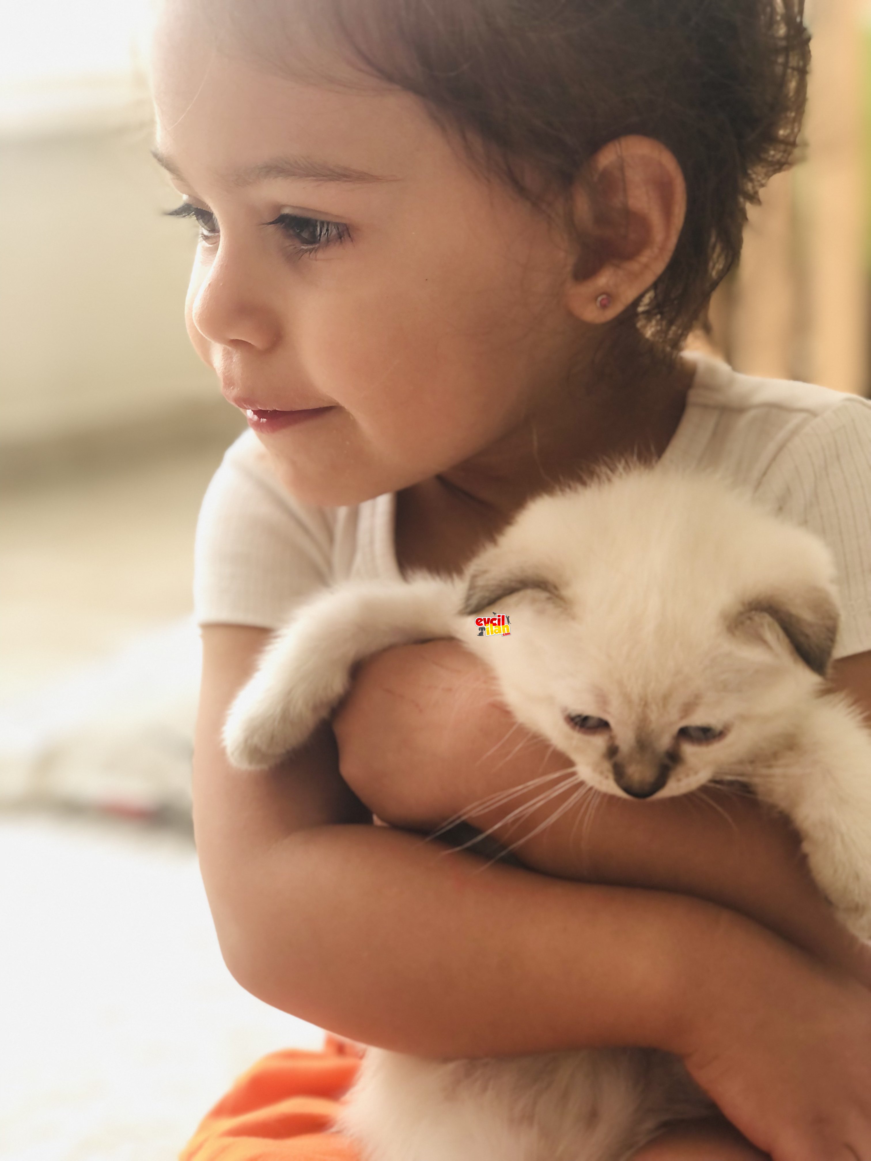 Yavrularımız evlerine gitmeye hazır ❤️