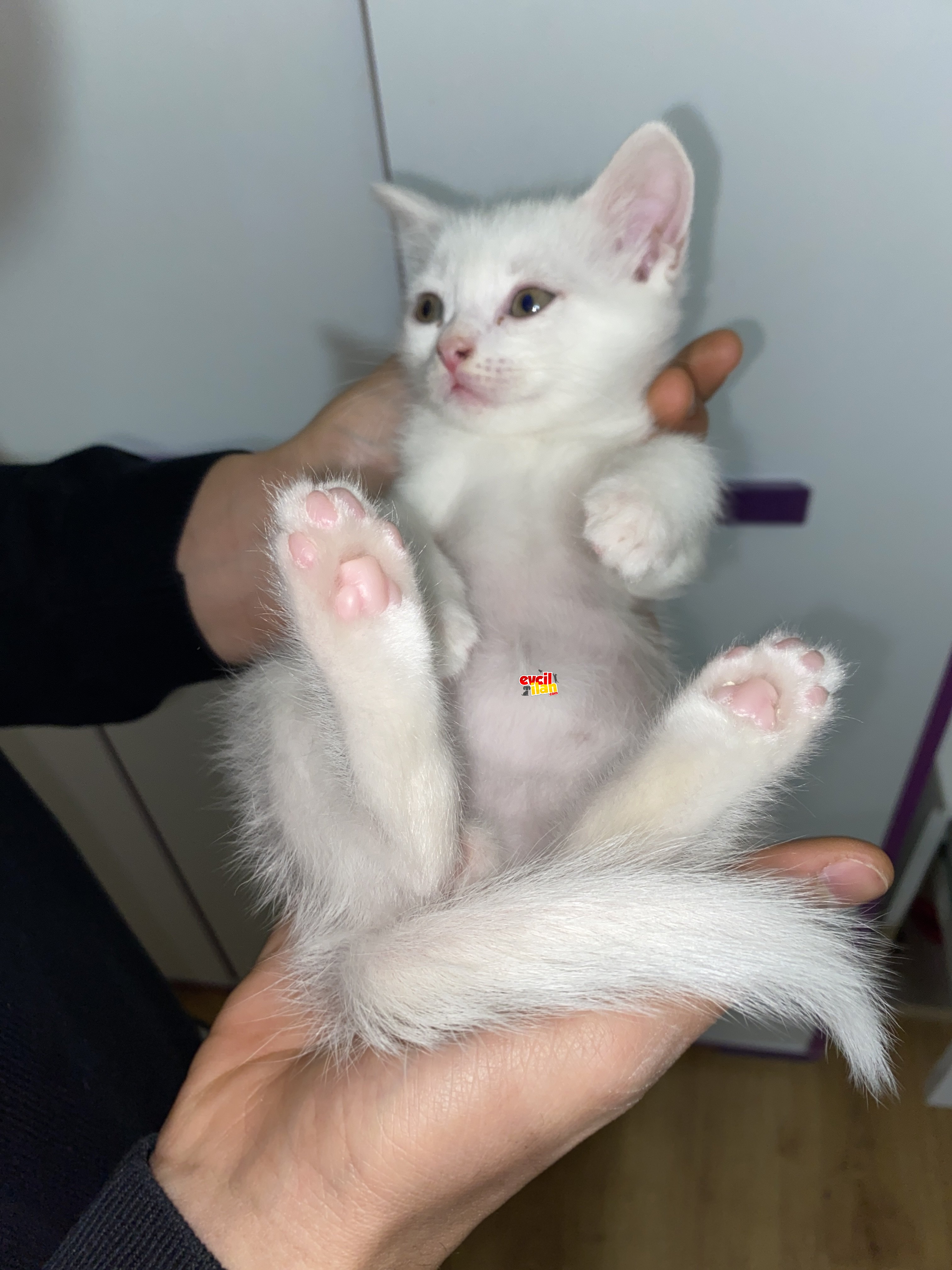 Yavrumuz yaramaz bi o kadar da usludur :) 