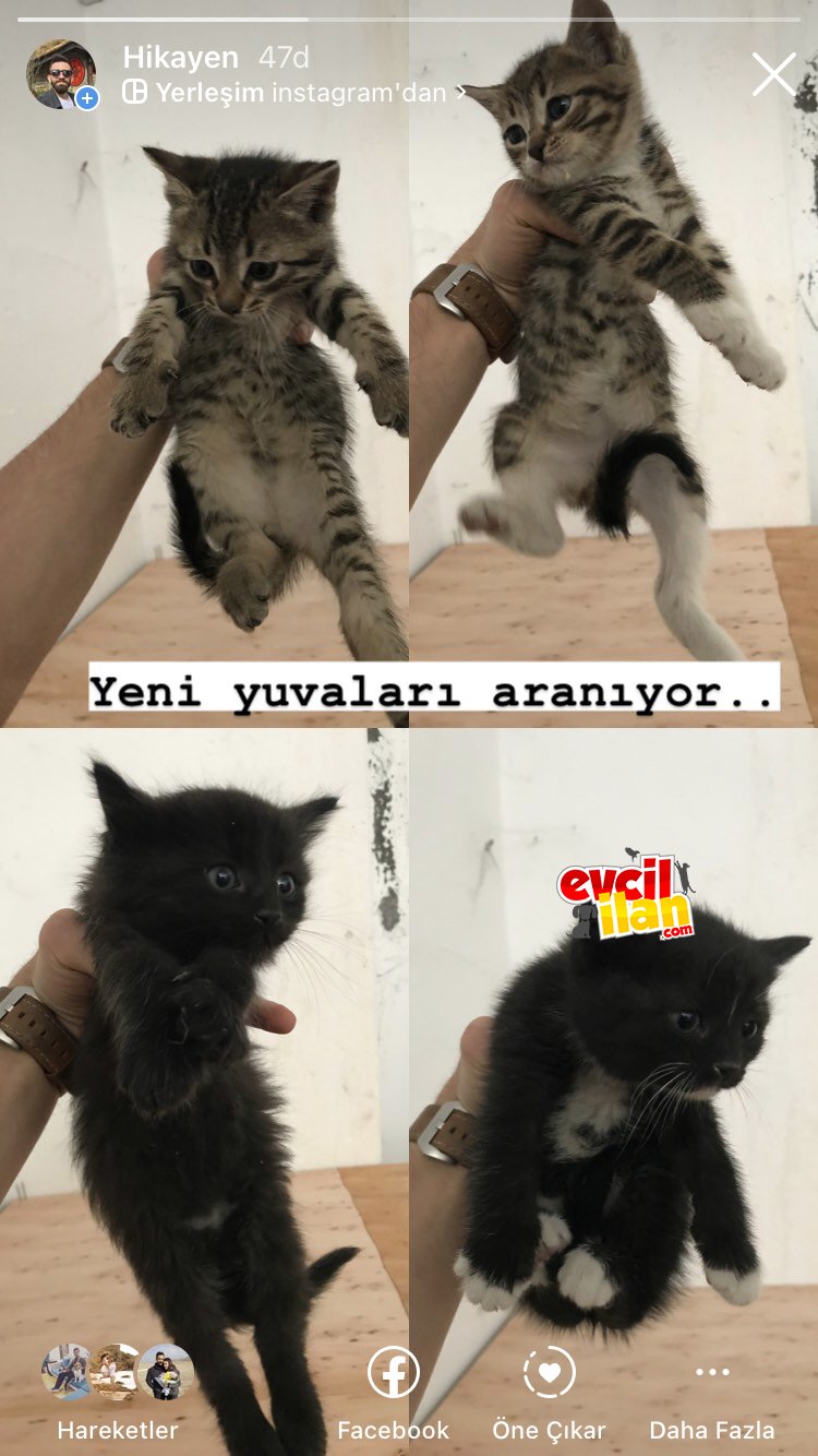 Yeni yuva aranıyor