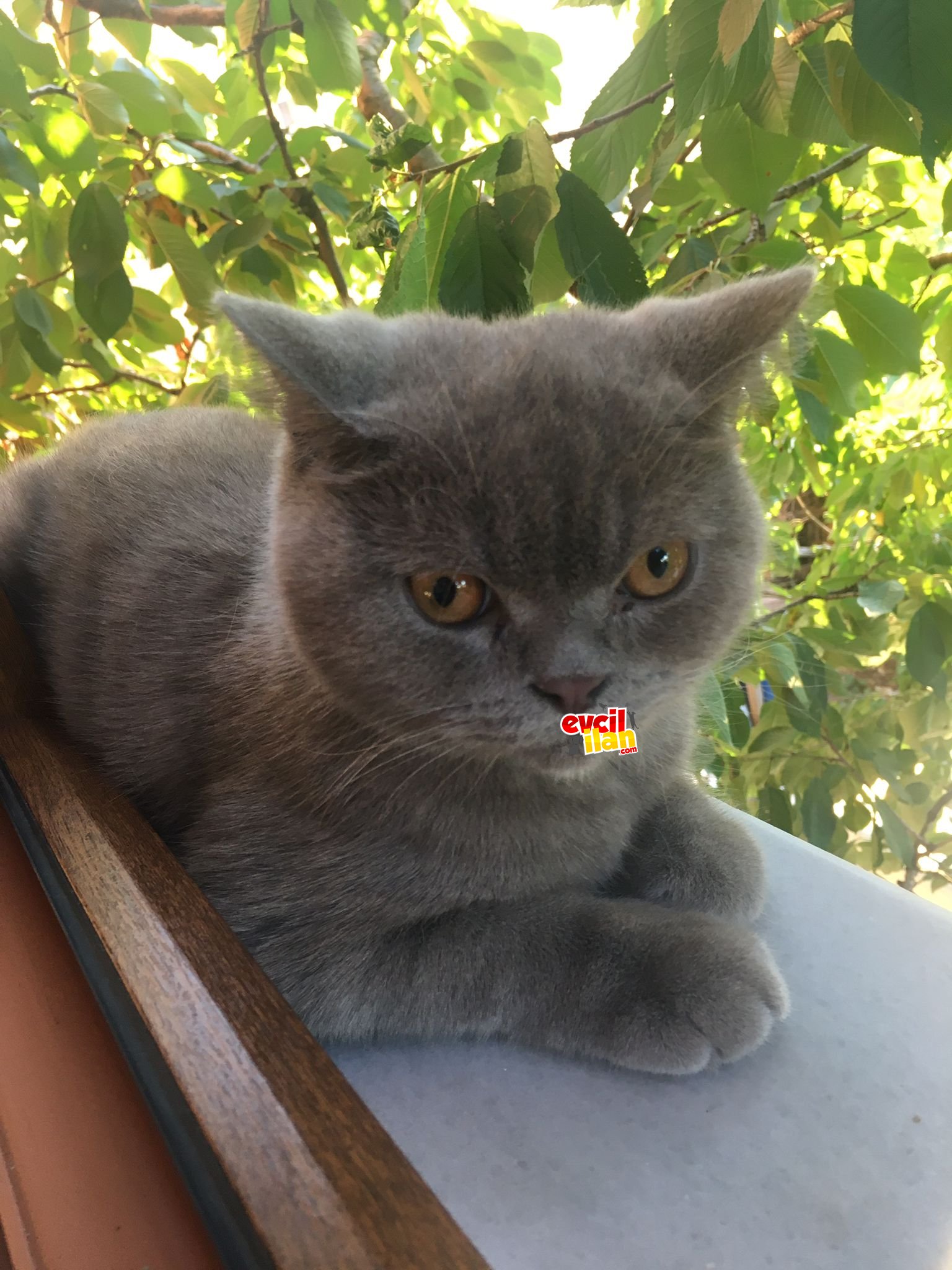 Yeni yuva arıyoruz 