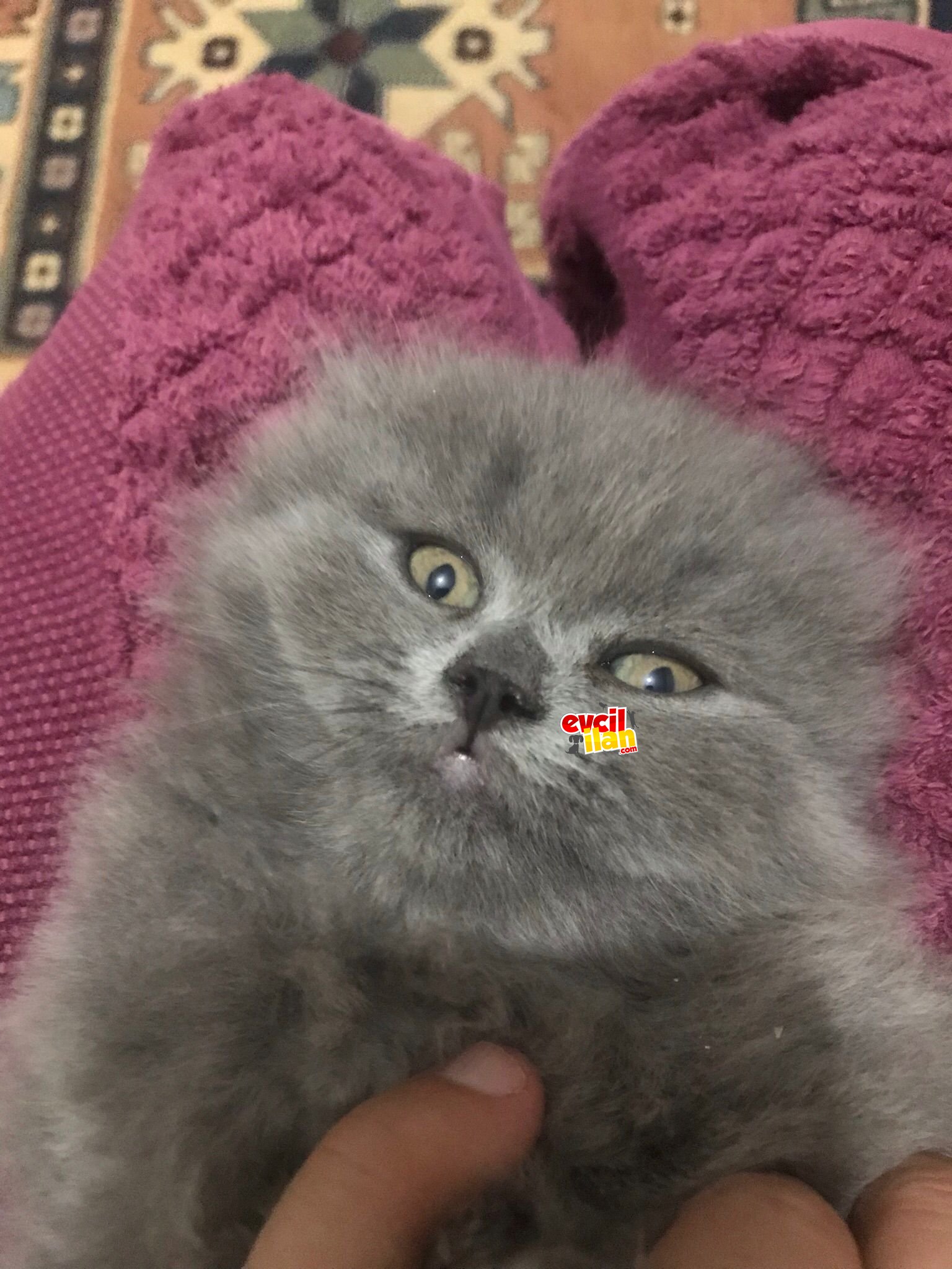 YENİ YUVAMIZA GİTMEYE HAZIRIZ